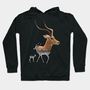 Impala - Antelope in Africa Hoodie